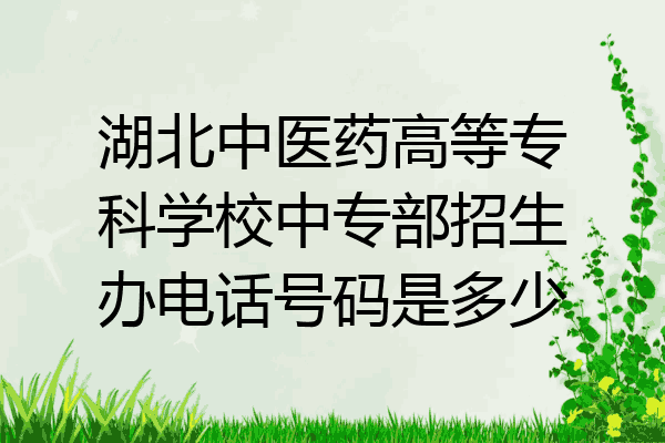 湖北中医药高等专科学校中专部招生办电话号码是多少