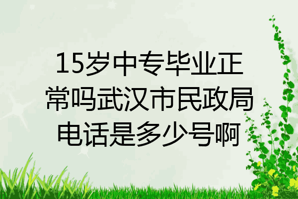 15岁中专毕业正常吗武汉市民政局电话是多少号啊