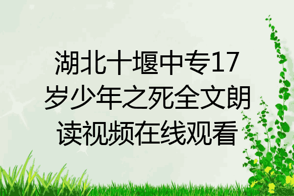 湖北十堰中专17岁少年之死全文朗读视频在线观看