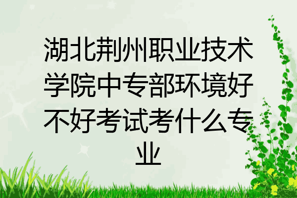 湖北荆州职业技术学院中专部环境好不好考试考什么专业