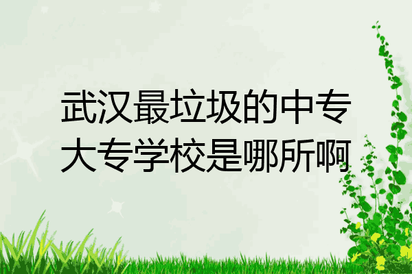 武汉最垃圾的中专大专学校是哪所啊