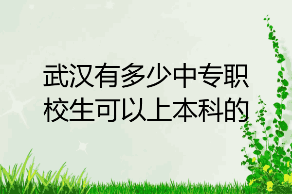 武汉有多少中专职校生可以上本科的