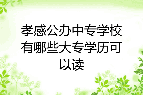 孝感公办中专学校有哪些大专学历可以读