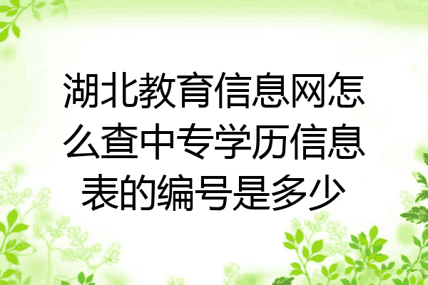 湖北教育信息网怎么查中专学历信息表的编号是多少