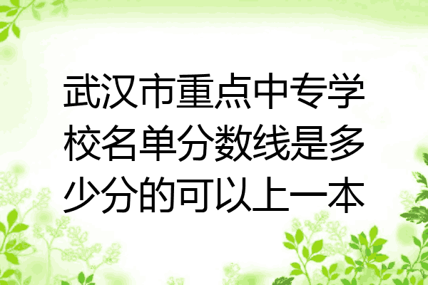 武汉市重点中专学校名单分数线是多少分的可以上一本