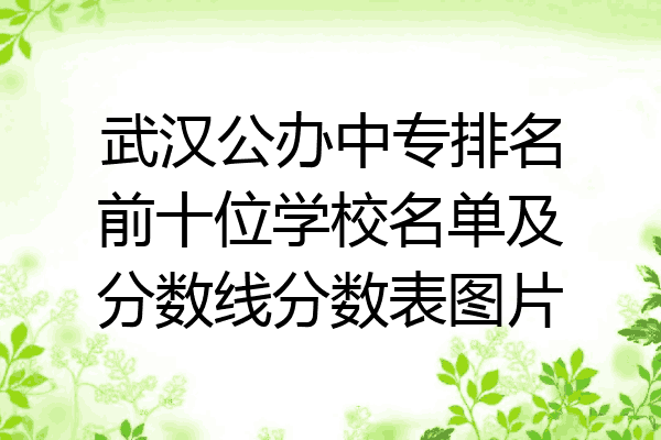 武汉公办中专排名前十位学校名单及分数线分数表图片