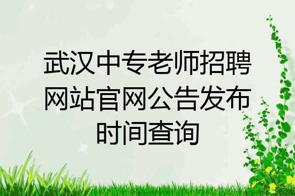 武汉中专老师招聘网站官网公告发布时间查询