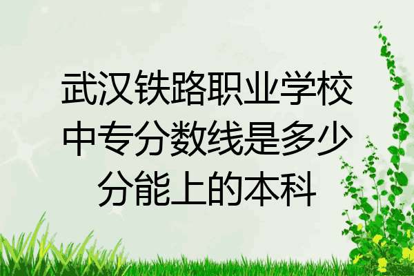 武汉铁路职业学校中专分数线是多少分能上的本科