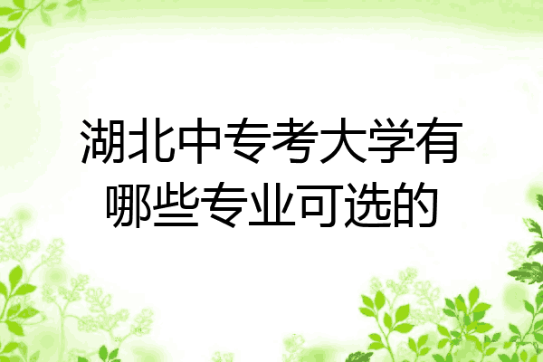 湖北中专考大学有哪些专业可选的