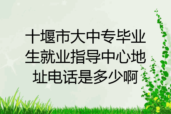 十堰市大中专毕业生就业指导中心地址电话是多少啊