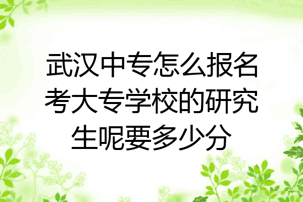 武汉中专怎么报名考大专学校的研究生呢要多少分