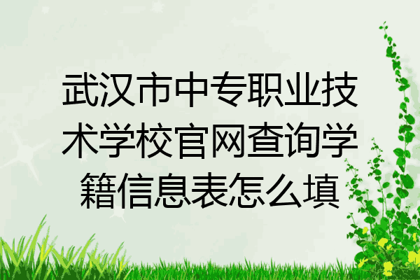 武汉市中专职业技术学校官网查询学籍信息表怎么填