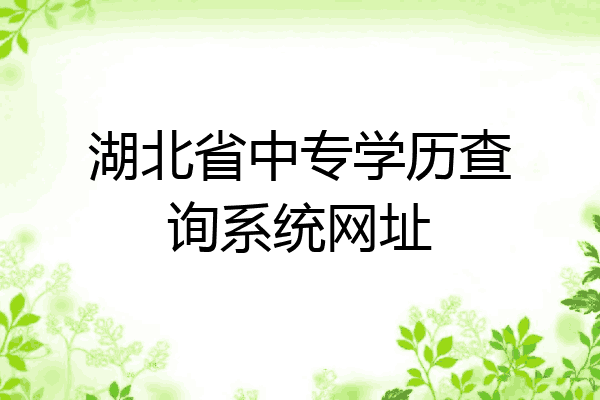 湖北省中专学历查询系统网址