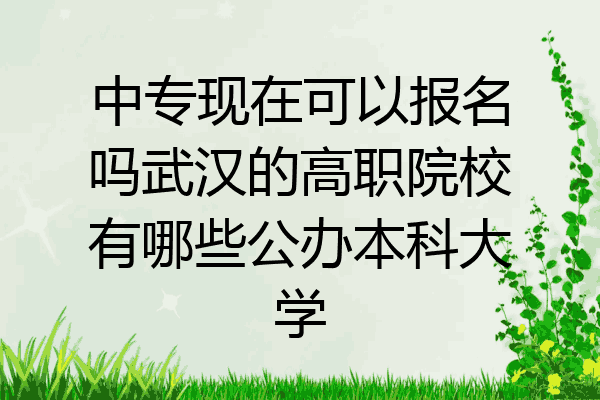 中专现在可以报名吗武汉的高职院校有哪些公办本科大学