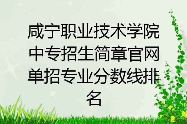 咸宁职业技术学院中专招生简章官网单招专业分数线排名