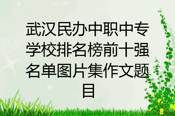 武汉民办中职中专学校排名榜前十强名单图片集作文题目
