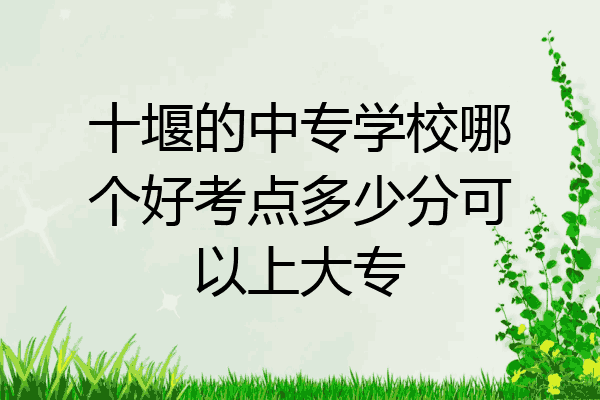 十堰的中专学校哪个好考点多少分可以上大专