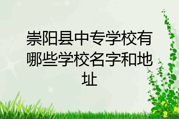 崇阳县中专学校有哪些学校名字和地址