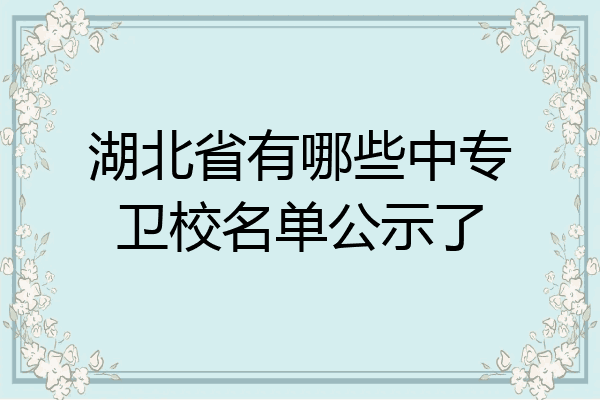 湖北省有哪些中专卫校名单公示了