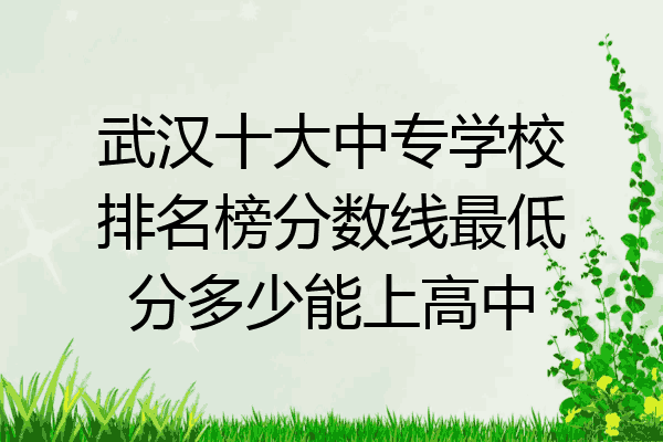 武汉十大中专学校排名榜分数线最低分多少能上高中