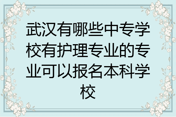武汉有哪些中专学校有护理专业的专业可以报名本科学校