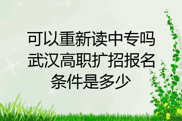 可以重新读中专吗武汉高职扩招报名条件是多少