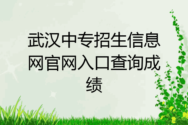 武汉中专招生信息网官网入口查询成绩