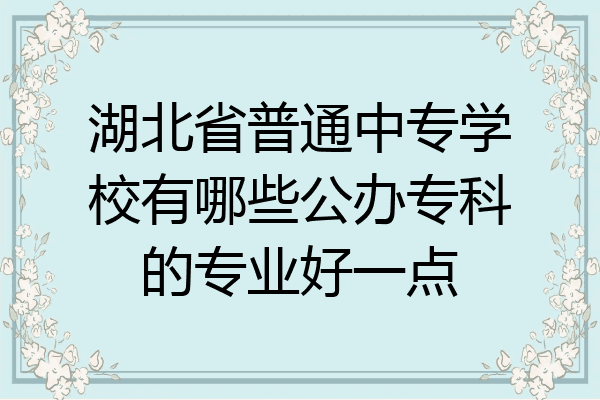 湖北省普通中专学校有哪些公办专科的专业好一点