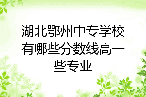 湖北鄂州中专学校有哪些分数线高一些专业