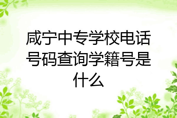 咸宁中专学校电话号码查询学籍号是什么