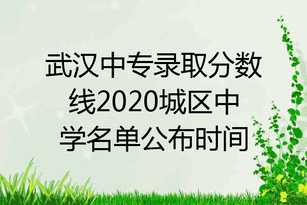 武汉中专录取分数线2020城区中学名单公布时间