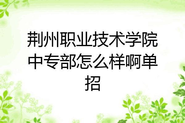 荆州职业技术学院中专部怎么样啊单招