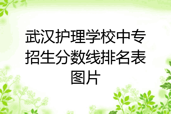 武汉护理学校中专招生分数线排名表图片