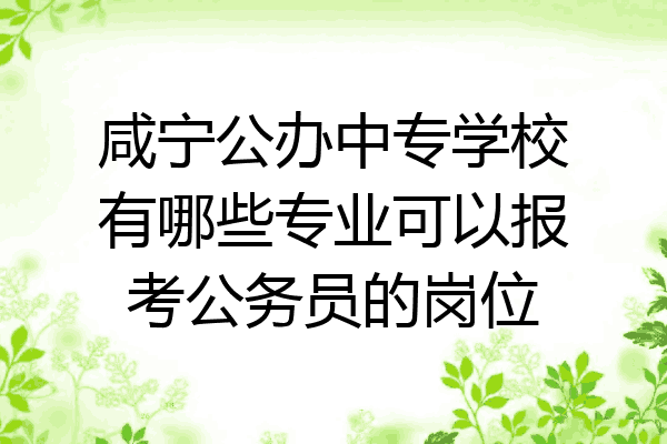 咸宁公办中专学校有哪些专业可以报考公务员的岗位