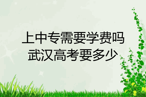上中专需要学费吗武汉高考要多少