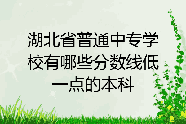 湖北省普通中专学校有哪些分数线低一点的本科