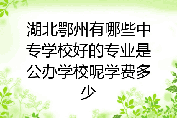 湖北鄂州有哪些中专学校好的专业是公办学校呢学费多少