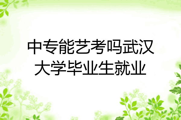 中专能艺考吗武汉大学毕业生就业