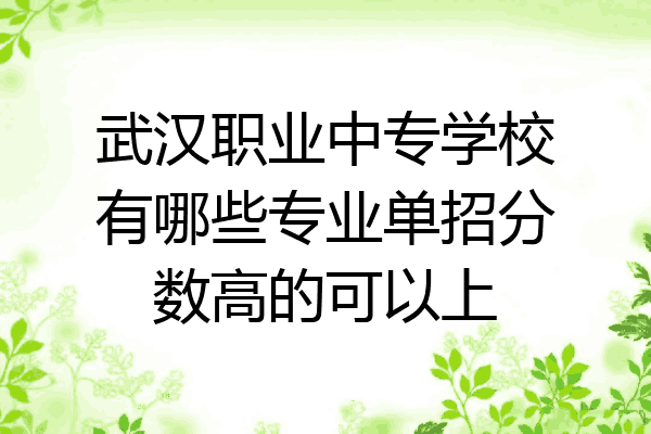 武汉职业中专学校有哪些专业单招分数高的可以上