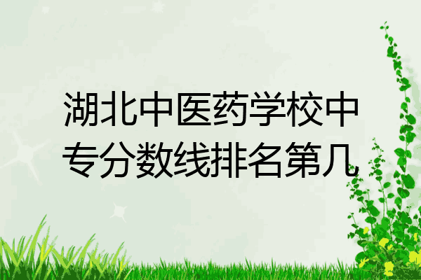 湖北中医药学校中专分数线排名第几
