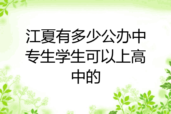 江夏有多少公办中专生学生可以上高中的