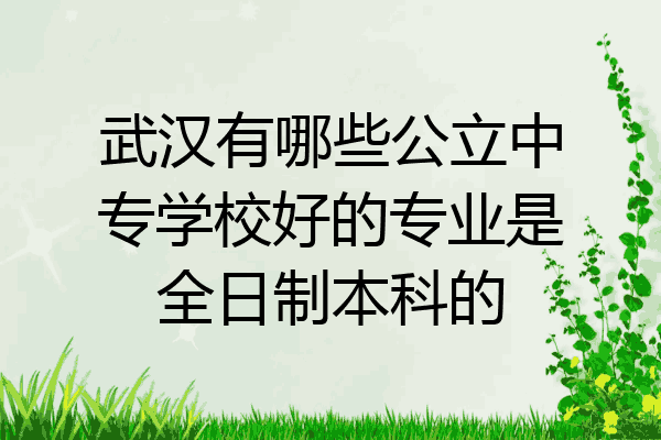 武汉有哪些公立中专学校好的专业是全日制本科的