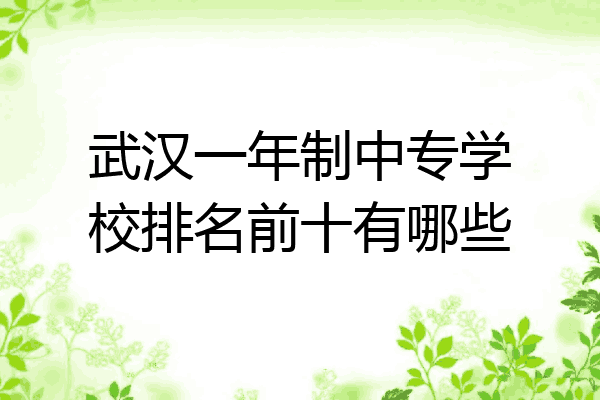 武汉一年制中专学校排名前十有哪些