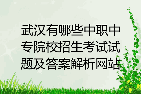 武汉有哪些中职中专院校招生考试试题及答案解析网站