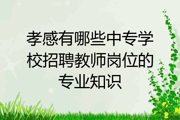 孝感有哪些中专学校招聘教师岗位的专业知识