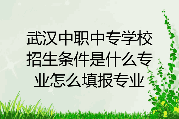 武汉中职中专学校招生条件是什么专业怎么填报专业