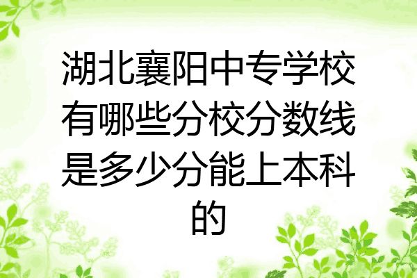 湖北襄阳中专学校有哪些分校分数线是多少分能上本科的