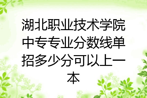 湖北职业技术学院中专专业分数线单招多少分可以上一本