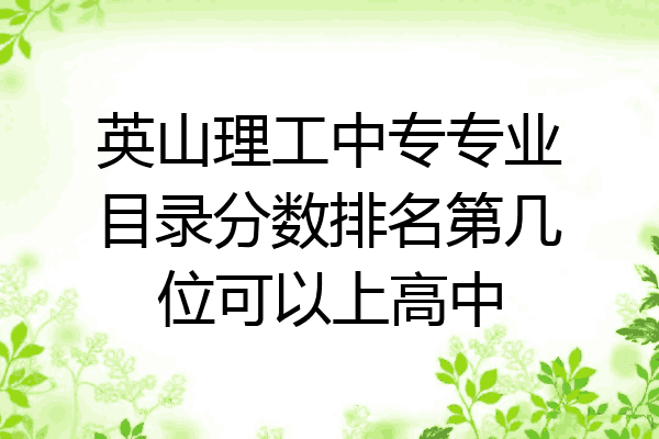 英山理工中专专业目录分数排名第几位可以上高中