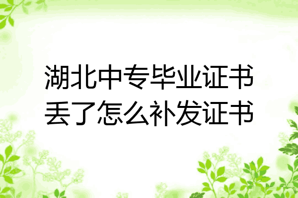 湖北中专毕业证书丢了怎么补发证书